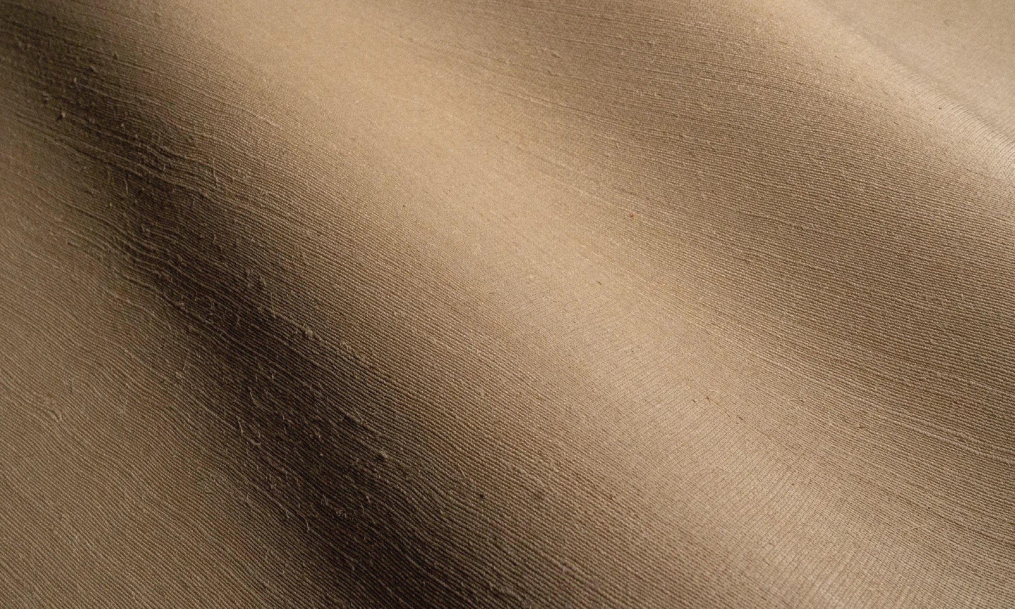 FIQUE FIBER
