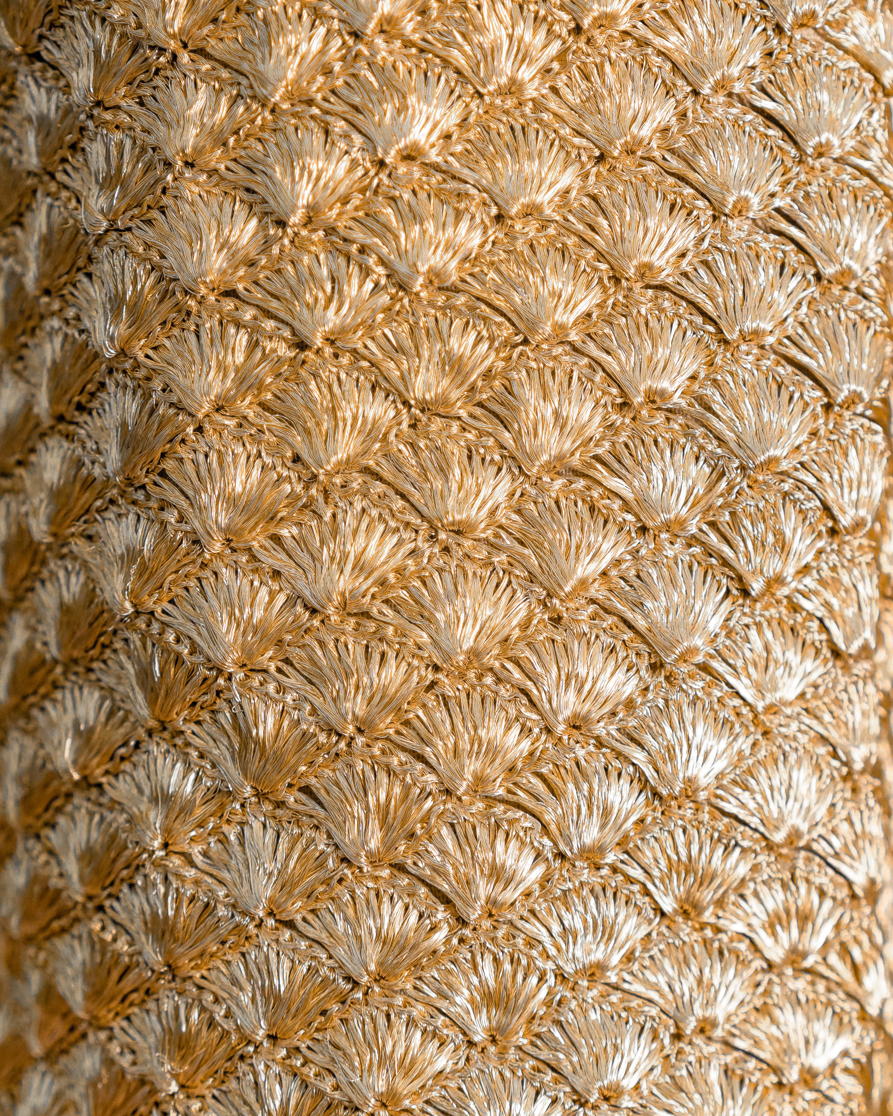 SEASHELL CLUTCH - GOLD
