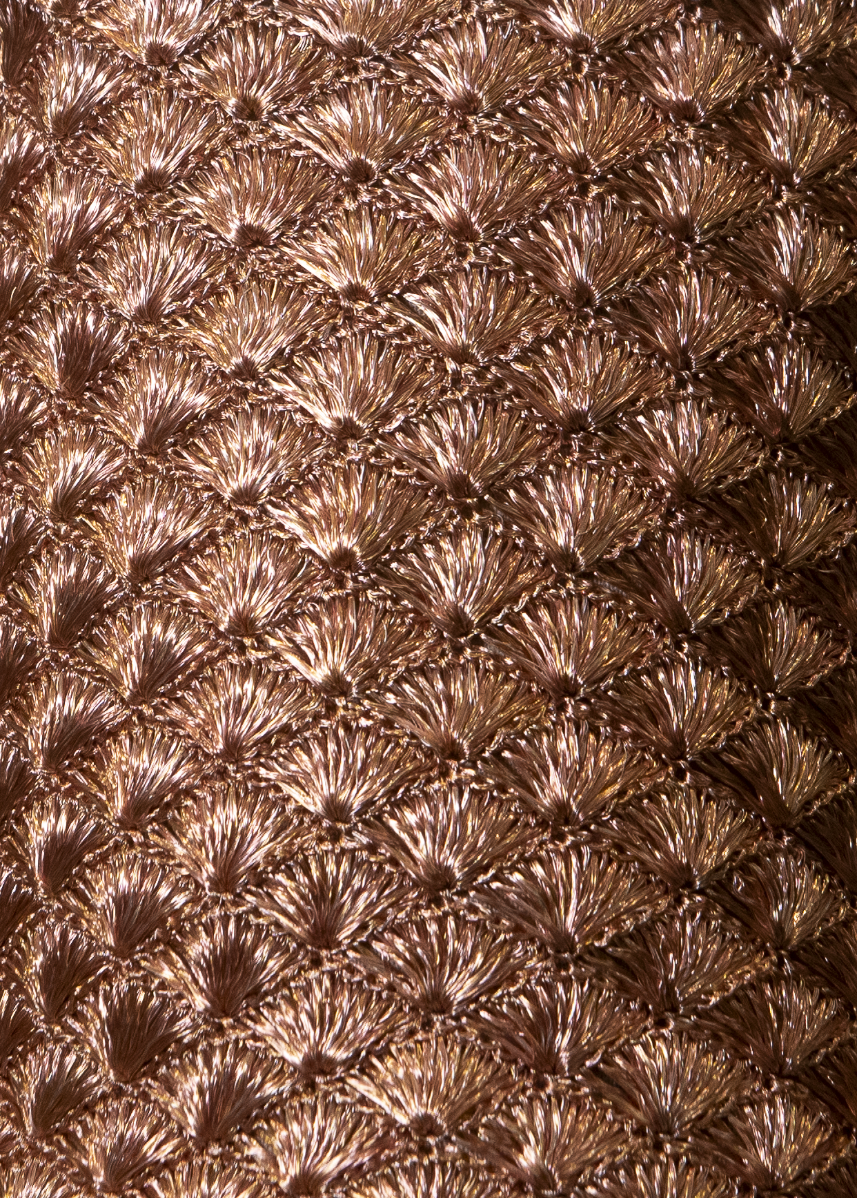 CLUTCH STRAP - ROSE GOLD